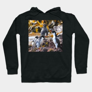 Snares Crested Penguins Hoodie